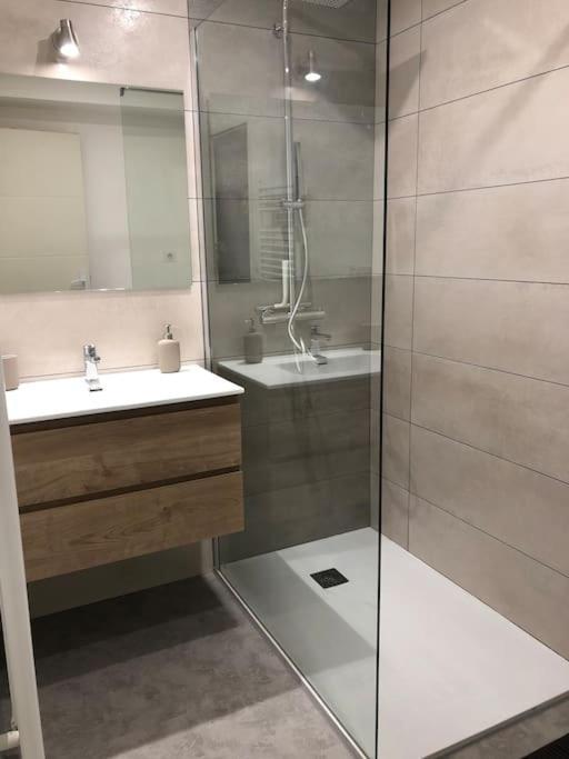 Appartement Moderne & Lumineux 40M2 Centre Luxeuil Exterior foto